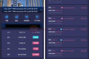 取引所ソースコード多言語海外マイクロキャップ取引システムソースコード仮想通貨ビットコインBTCマイクロキャップ+エージェントモードバックグラウンド制御可能殺害！