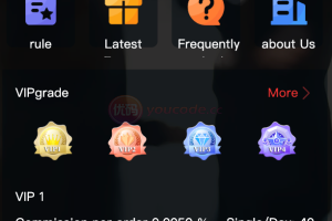The latest UI multi-language order shopping mall/order grabbing system/order automatic matching system/continuous order card order/overseas source code
