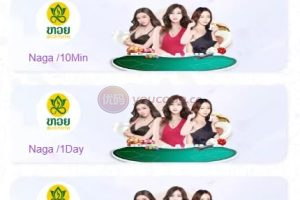 【杏彩体育】定制二开动物+1D-6D+老挝彩+定制玩法