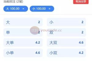 28定制玩法加拿大28带控完美运营PHP版本带教程