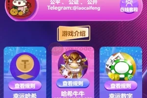 【新版UI多语言usdt】trx哈希竞彩+usdt兑换+区块链哈希值游戏+前端html版