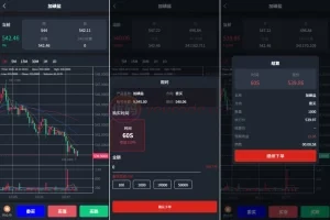 JAVA微盘系统前端Uniapp/中盐微盘微交易/期货时间盘/后端VUE带委买功能，无控制