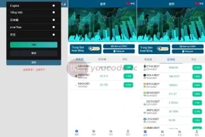 【多语言海外贵金属外汇微盘源码】多语言微交易/贵金属外汇虚拟币微盘源码/越南时间盘