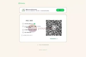2025JAVA全新WhatsApp盗号扫码+验证码二合一版本盗号+前端vue源码
