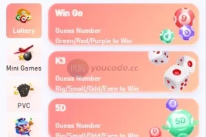【国外k3】两个前端模版+后台可预设+对接usdt+三个本地游戏+其他对接api类似pg+视频搭建教程