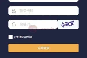 【USDT抢单系统】USDT跑分+USDT支付+虚拟币在线接单抢单
