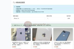 闲鱼自动发货智能回复系统网站源码
