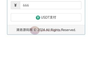 易支付源码运营版无后门/USDT通道易支付系统网站源码