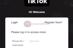 [Overseas tiktok order] Customized version + vue fully open source + continuous orders + thirteen languages ​​​​pack