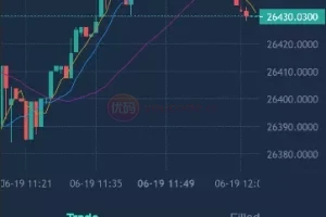 [Código fuente de intercambio de blockchain en varios idiomas] Intercambio EME + negociación de opciones + suscripción + intercambio de segundo contrato de moneda + con tutorial de construcción