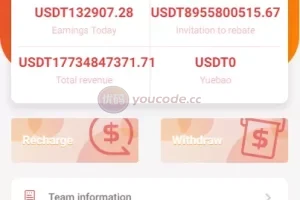 【新UI多语言抢单刷单系统】海外刷单源码+订单自动匹配系统