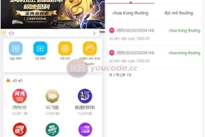 【大富改版语言】越南团队ssc源码+越南语cp+开奖有修复