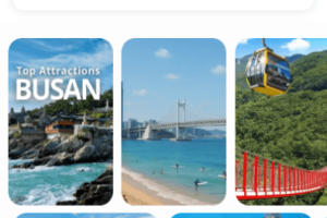 海外大陆国内酒店抢单刷单系统/卡单连单/信用分/前端uniapp 新版UI酒店刷单系统，前端uniapp带多语言后端php开源带教程 支持连单卡单，信用分，权限代理，usdt充提